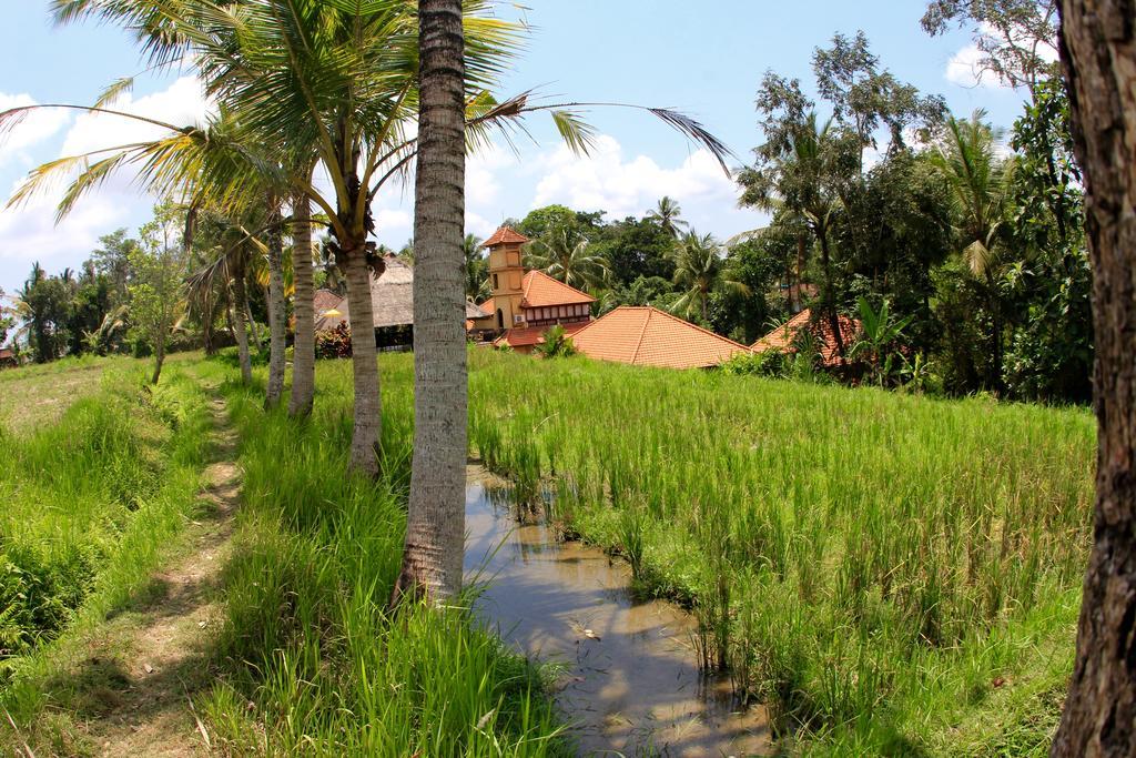 Hotel Villa Ubud Kültér fotó